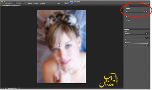 آموزش تصویری بلور کردن بخشی از تصویر در فتوشاپ