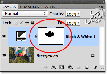 آموزش سیاه و سفید کردن قسمت خاصی از تصویر با فتوشاپ