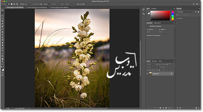 باز کردن عکس در فتوشاپ CC
