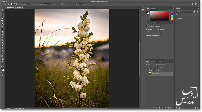 باز کردن عکس در فتوشاپ CC