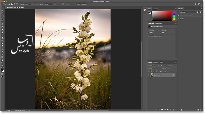 باز کردن عکس در فتوشاپ CC