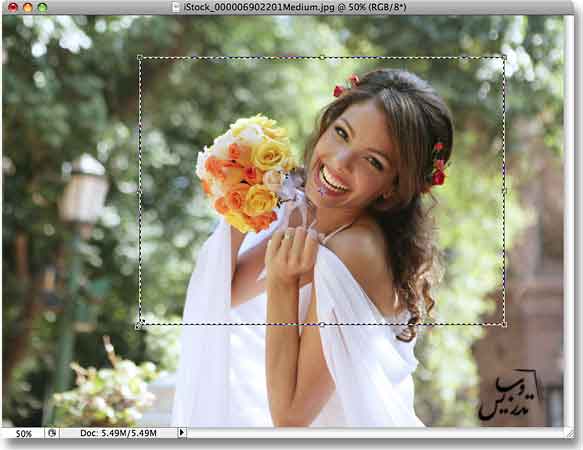 برش عکس بودون تغییر نسبت ابعاد در فتوشاپ