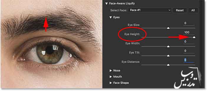  آموزش کار با ابزار face-aware-liquify در فتوشاپ 