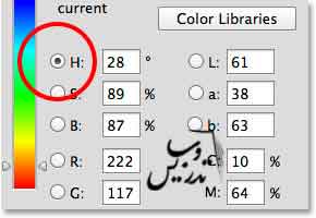 کار با پنل رنگ در فتوشاپ CC