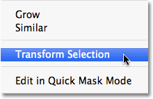 آموزش فتوشاپ مقدماتی کار با ابزار Transform Selection